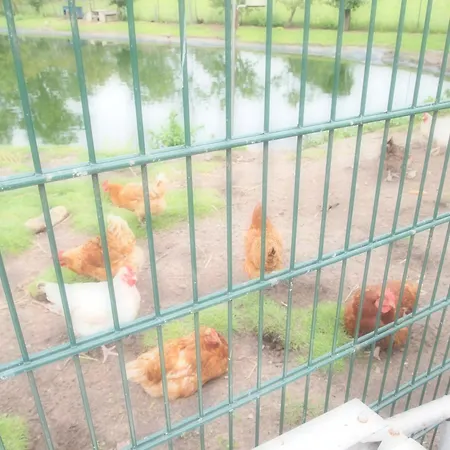 Prázdninový dům Gartenhaus