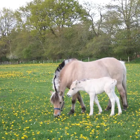 Gartenhaus * Gross Vollstedt
