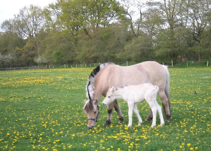 Gartenhaus * Gross Vollstedt